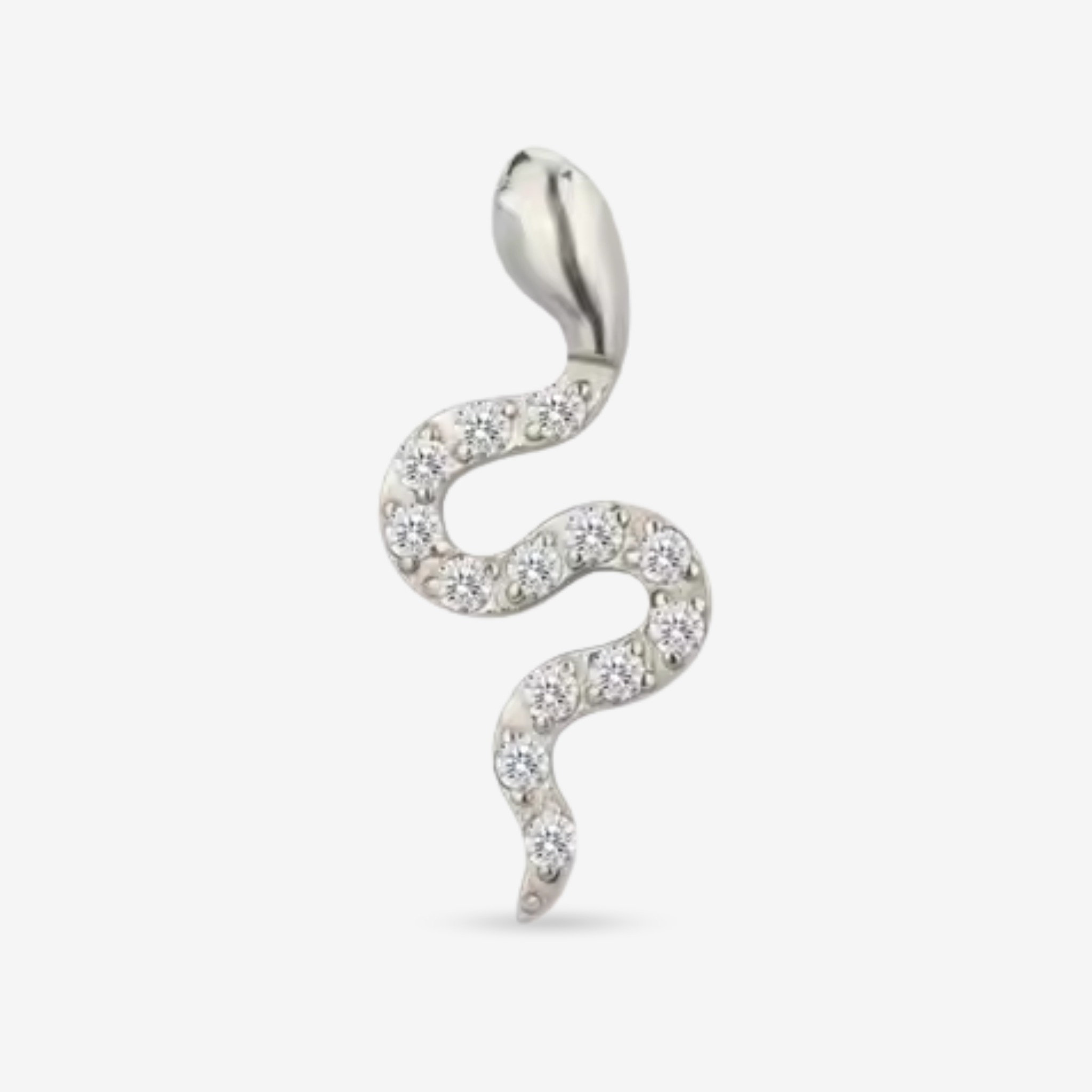 Salma- Stud Brut Diva