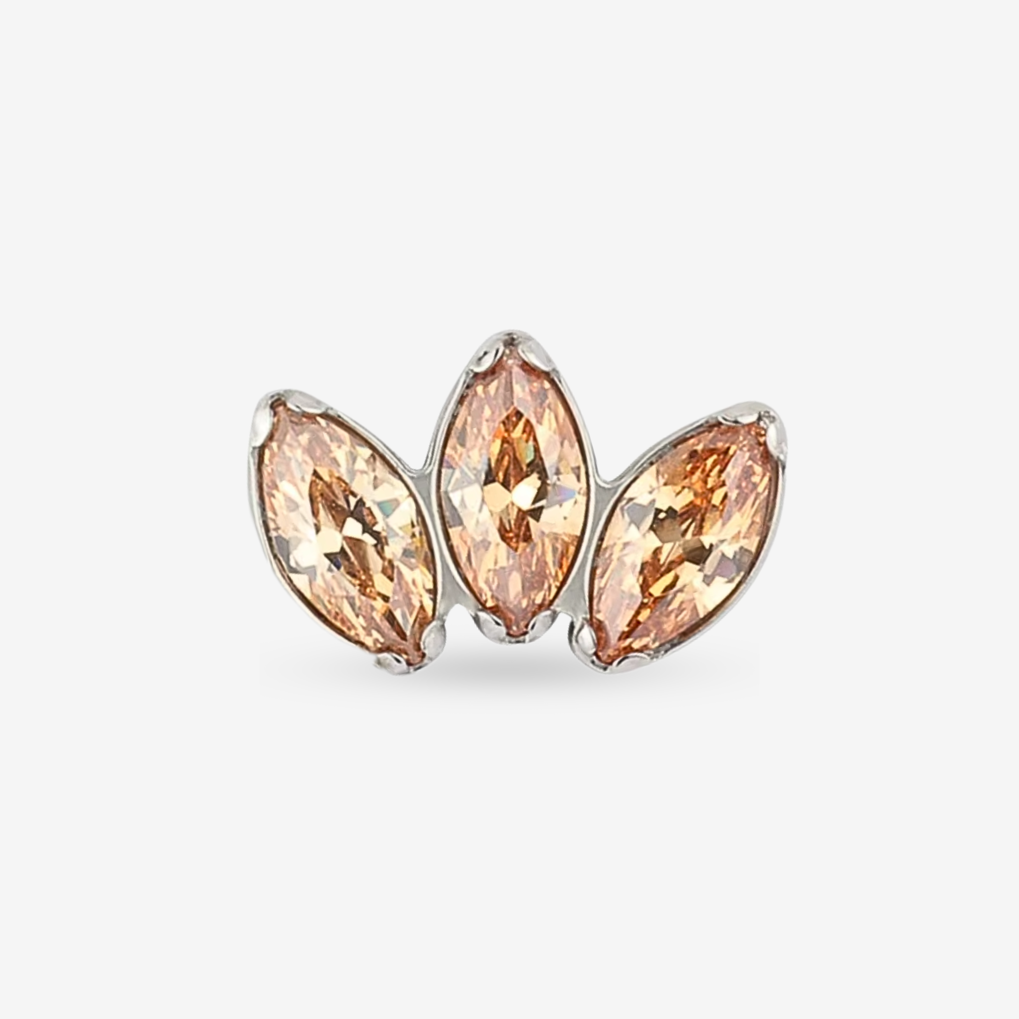 Amara - Stud Brut Diva