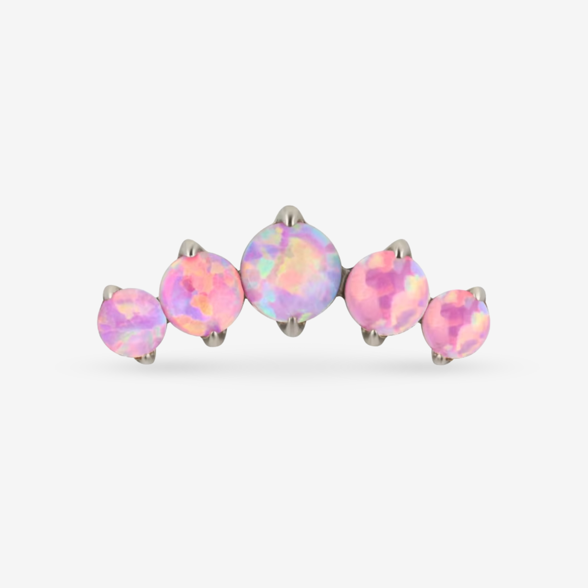 Sakura - Stud Brut Diva