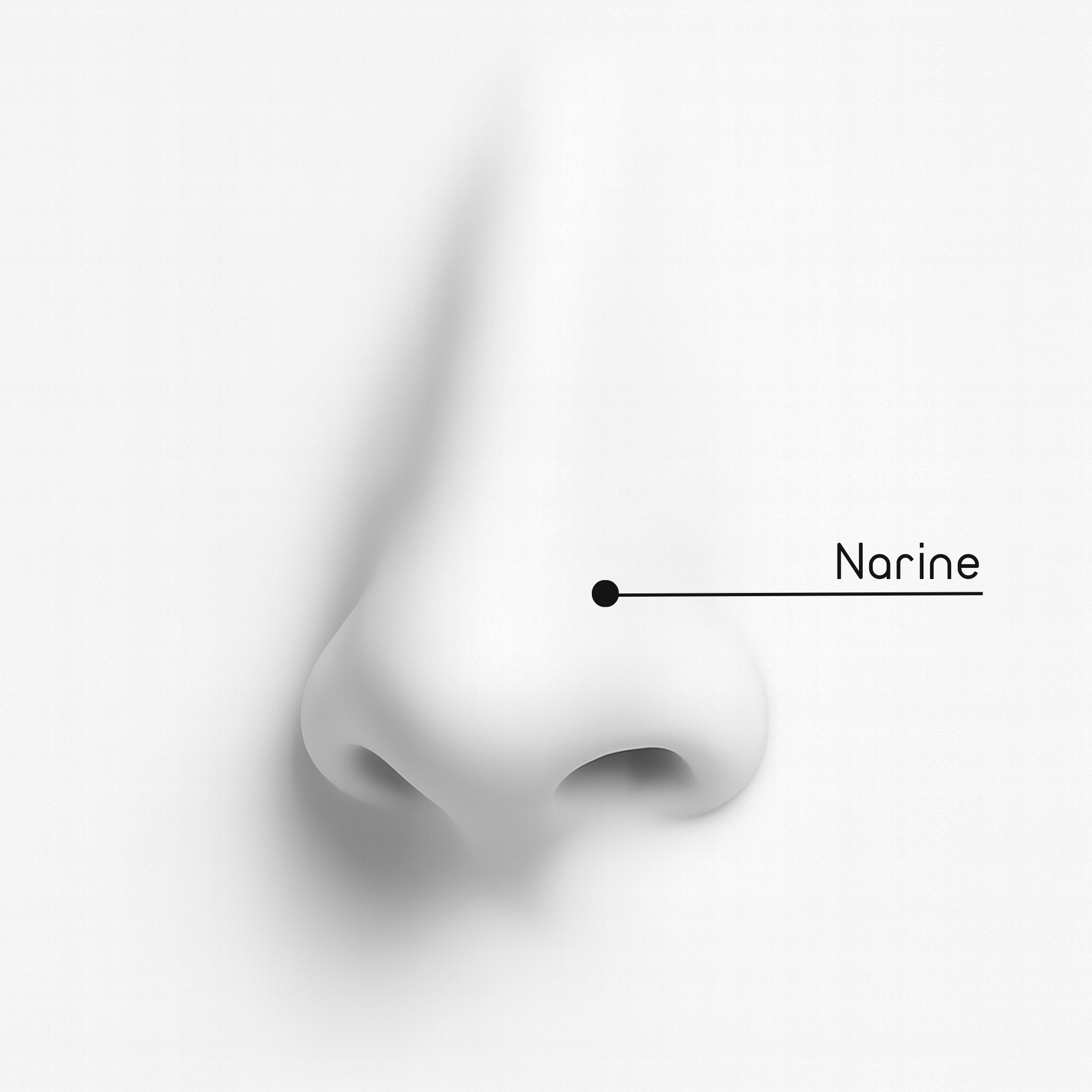 Laureen - Anneau Diva