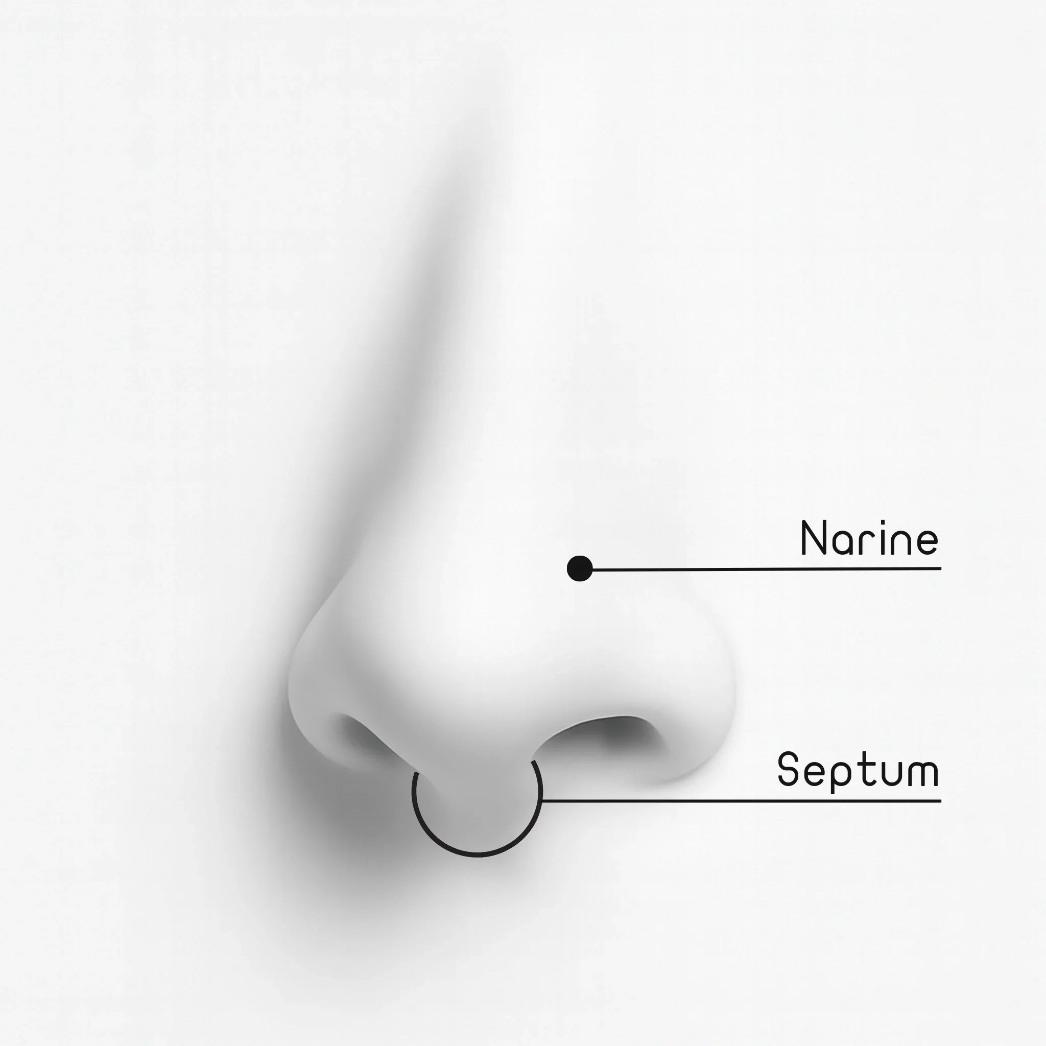 Riot - Anneau Sauvage