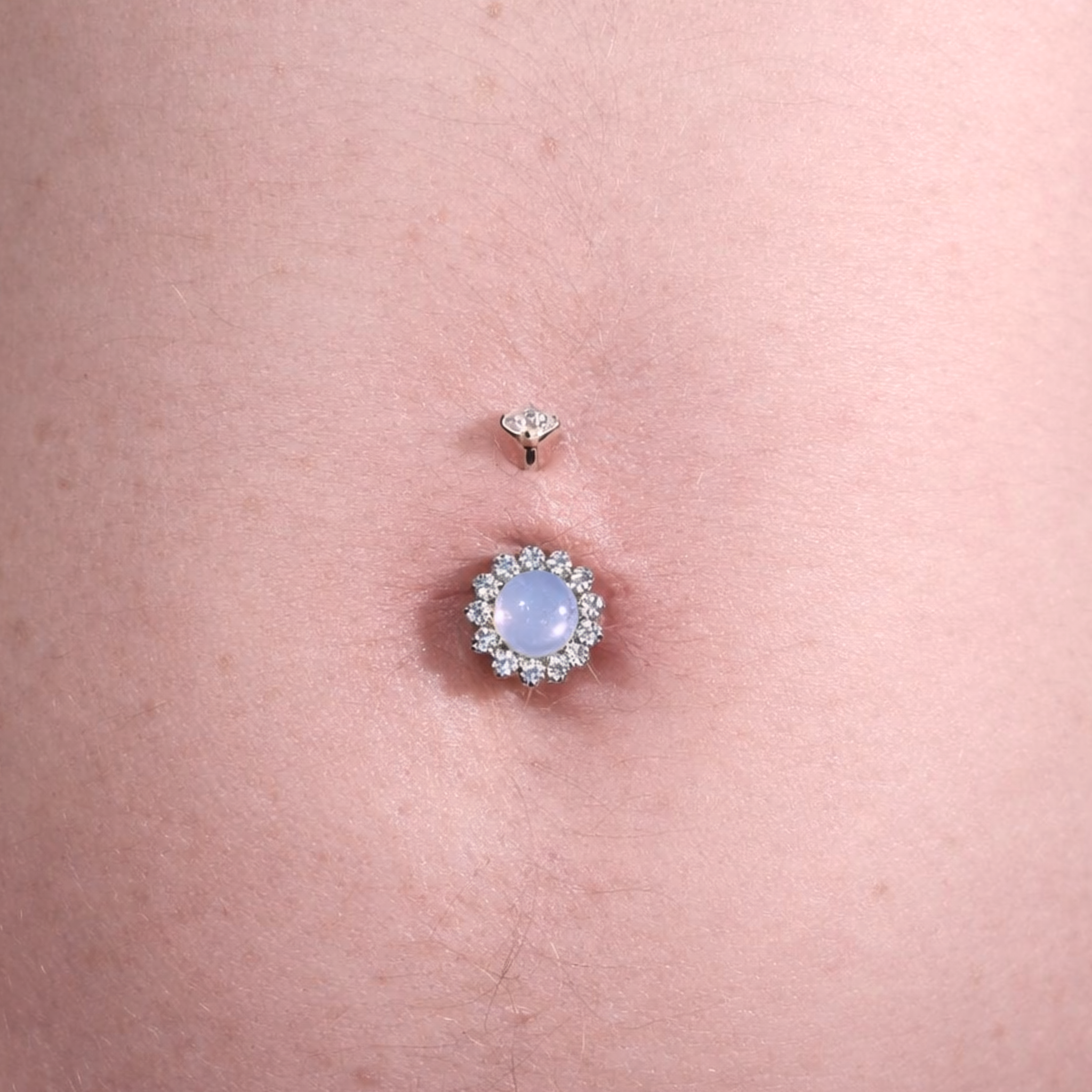 Taiyo - Barbell Courbé Diva